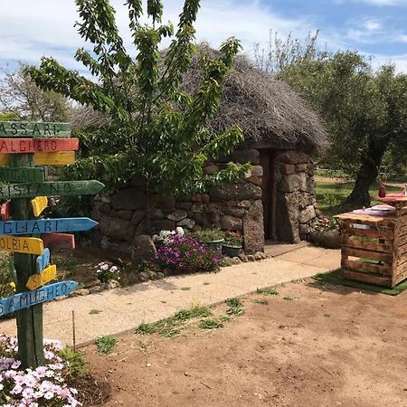 Azienda Agricola Affittacamere S'Ispinalba Di Laura Pitzolu Borore Buitenkant foto