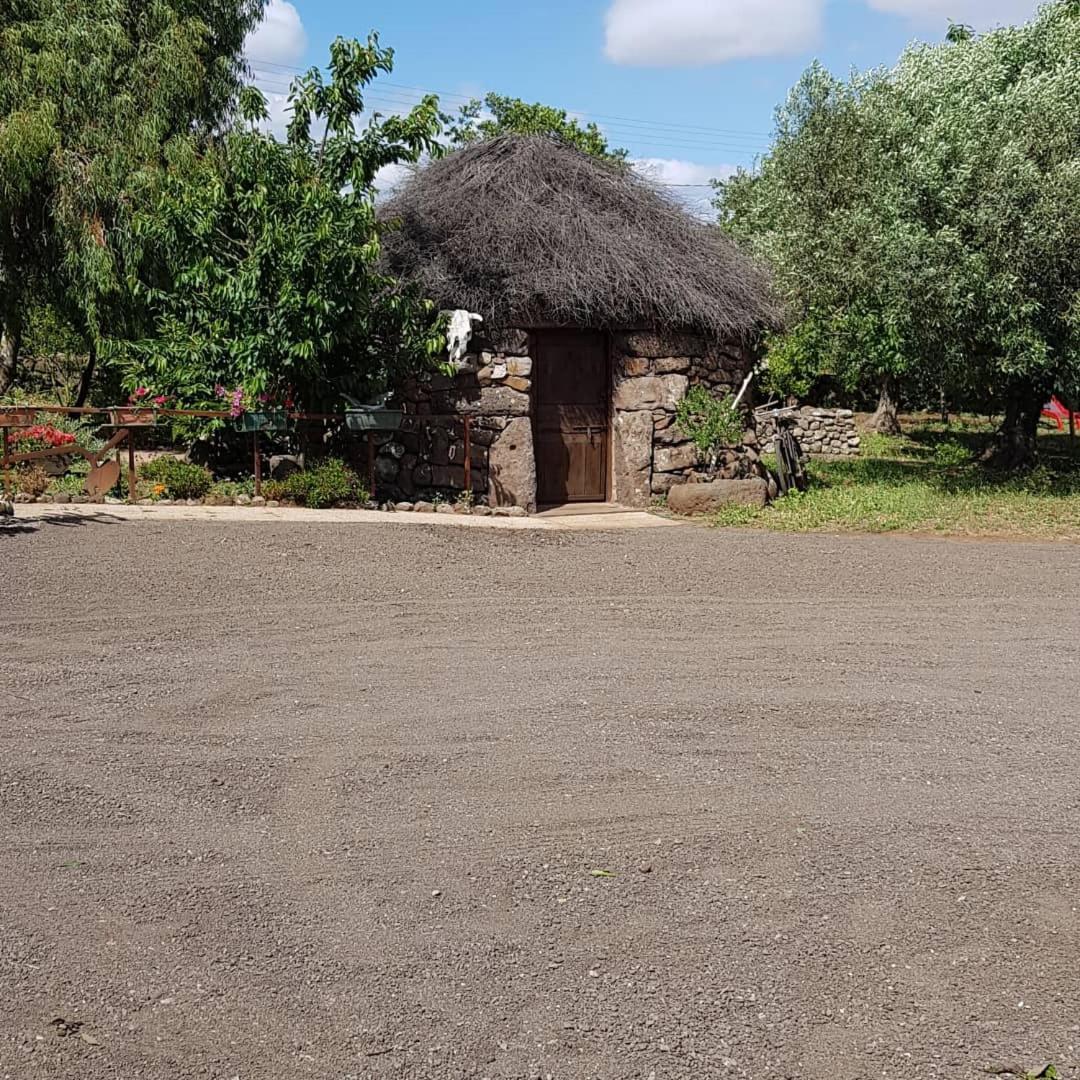 Azienda Agricola Affittacamere S'Ispinalba Di Laura Pitzolu Borore Buitenkant foto