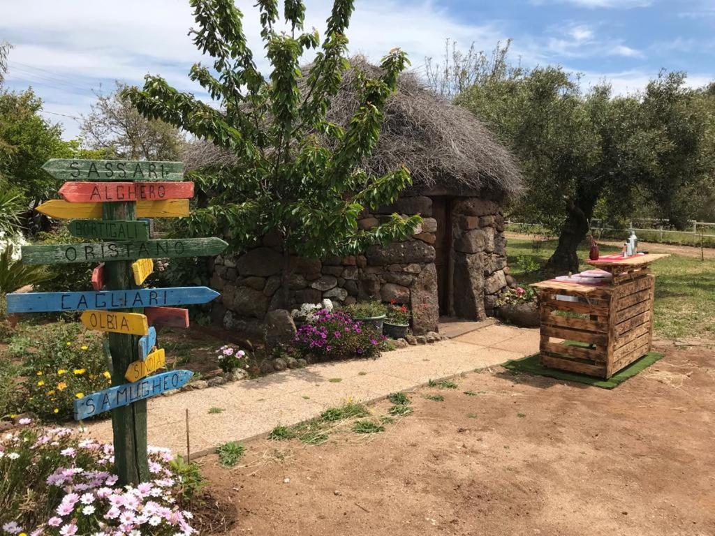 Azienda Agricola Affittacamere S'Ispinalba Di Laura Pitzolu Borore Buitenkant foto